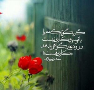 اشعار سعدی؛ گلچین زیباترین اشعار تک بیتی، رباعیات و غزلیات سعدی شیرازی