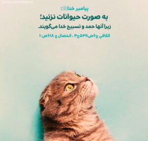 متن درباره گربه و جملات جالب در مورد حیوان دوست داشتنی گربه