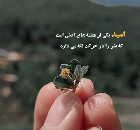 جملات نشاط آور در مورد خوشبختی