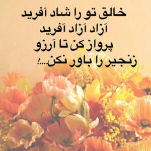 سخنان الهام بخش آزادی؛ جملات جالب و آموزنده درباره آزاد بودن