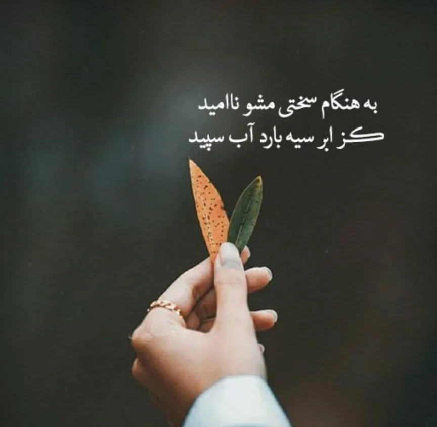 اشعار نظامی گنجوی؛ گزیده شعر تک بیتی، غزل و اشعار عاشقانه نظامی اشعار نظامی گنجوی؛ گزیده شعر تک بیتی، غزل و اشعار عاشقانه نظامی