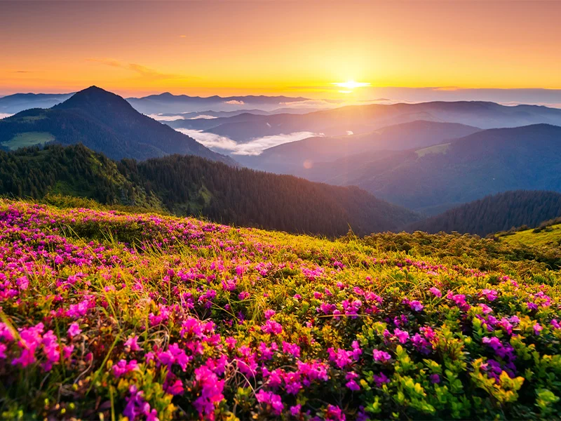 nature of iran