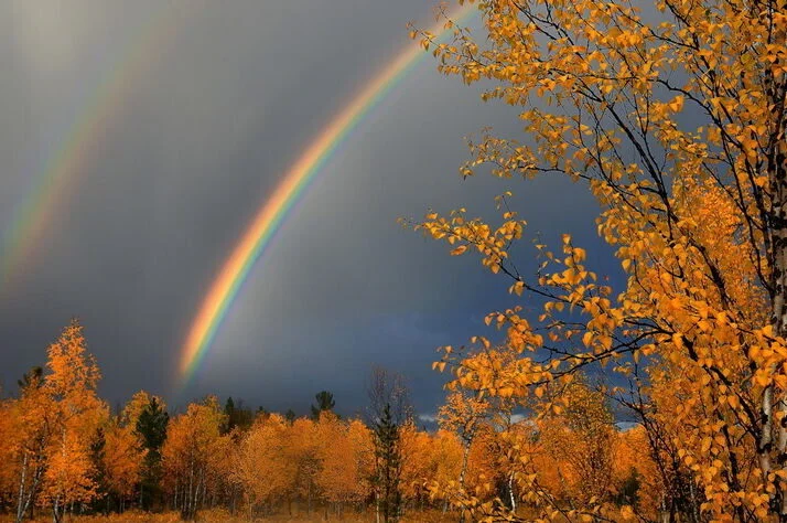 متن بیو انگلیسی پاییزی با ترجمه فارسی با جملات زیبای احساسی برای خزان متن بیو انگلیسی پاییزی با ترجمه فارسی با جملات زیبای احساسی برای خزان