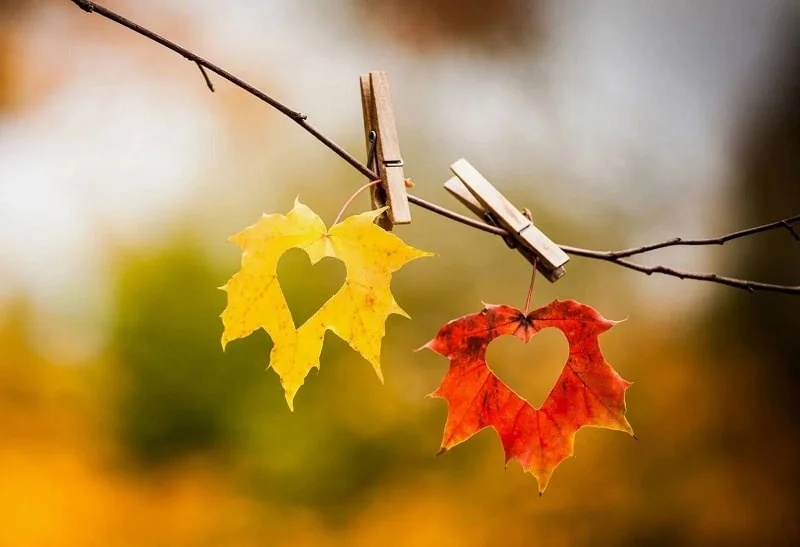 متن بیو انگلیسی پاییزی با ترجمه فارسی با جملات زیبای احساسی برای خزان متن بیو انگلیسی پاییزی با ترجمه فارسی با جملات زیبای احساسی برای خزان