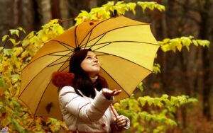 متن بیو انگلیسی پاییزی با ترجمه فارسی با جملات زیبای احساسی برای خزان