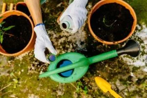 بهترین کود‌ها برای گیاهان آپارتمانی؛ معرفی انواع کود و مزایای آن