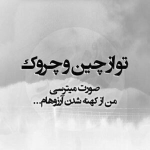 سخنان درباره پیری؛ جملات زیبا درباره پیر شدن و از دست رفتن جوانی