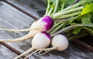 فواید شلغم برای کودکان؛ خواص بی نظیر شلقم برای سلامت کودک