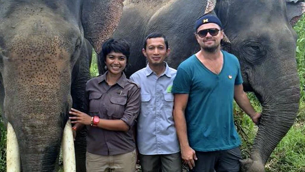 حمایت از محیط زیست