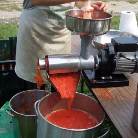 طرز تهیه رب گوجه فرنگی؛ آموزش تهیه رب گوجه به صورت حرفه ای با چند روش