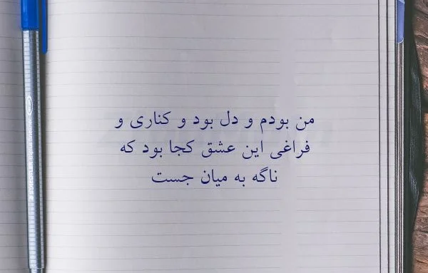 رباعیات وحشی باقی