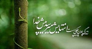 شعر امید؛ مجموعه اشعار امیدواری و امید داشتن به عشق و زندگی