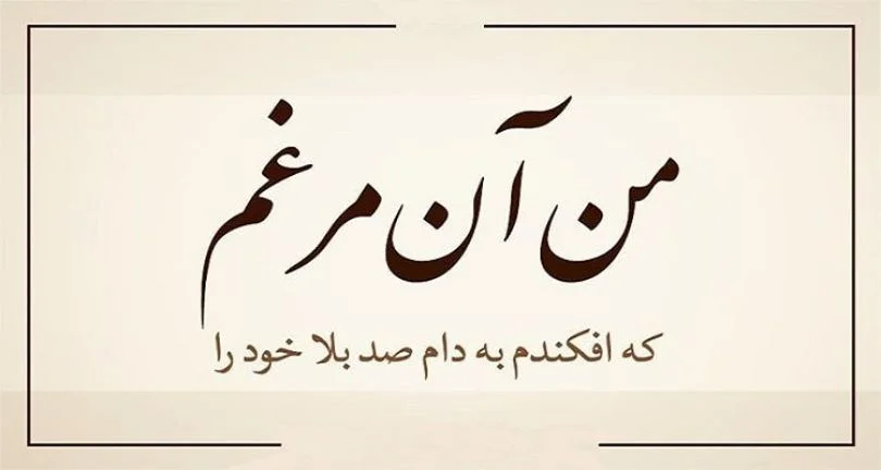 رباعیات وحشی باقی