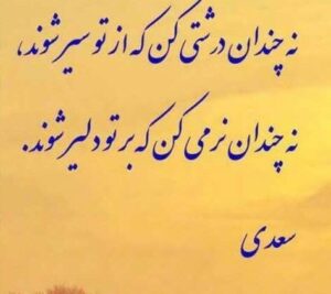 سخنان حکیمانه بزرگان برای پروفایل؛ 30 جمله ناب ارزشمند