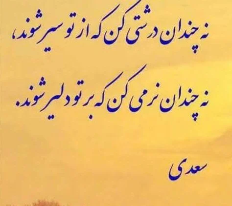 سخنان حکیمانه بزرگان برای پروفایل؛ 30 جمله ناب ارزشمند sokhanan 4 edited