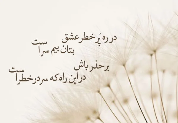 رباعیات وحشی باقی