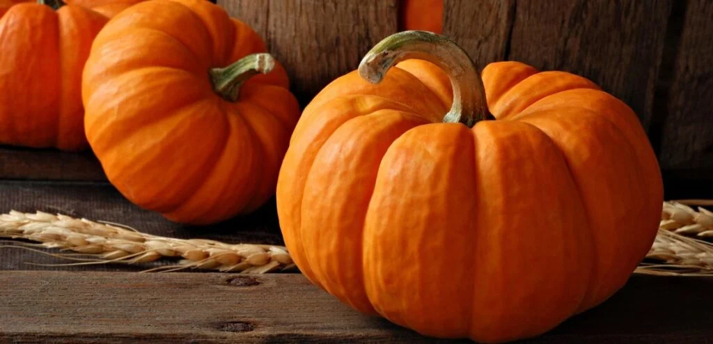 فواید کدو حلوایی برای سلامت، ارزش غذایی و مضرت مصرف زیاد