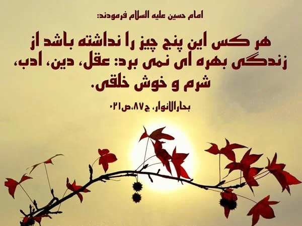سخنانی از امام حسین (ع) (احادیث و جملات آموزنده از سالار شهیدان) احادیث و جملات آموزنده از سالار شهیدان