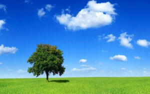 انشا هوای پاک؛ 6 انشا در مورد هوای تمیز و پاکیزه برای پایه های مختلف انشا هوای پاک؛ 6 انشا در مورد هوای تمیز و پاکیزه برای پایه های مختلف