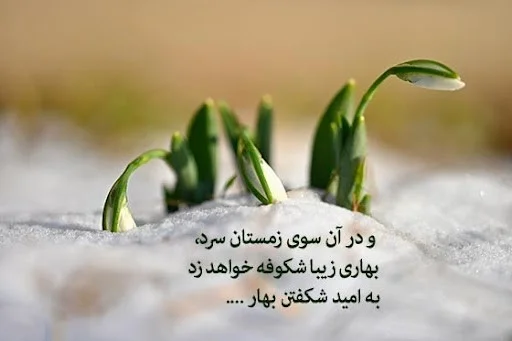 شعر زیبای مهدی اخوان ثالث درباره زمستان