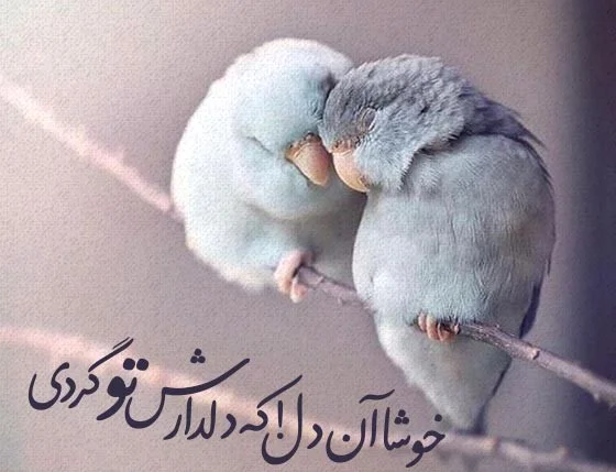 اشعار عاشقانه بسیار زیبا و احساسی