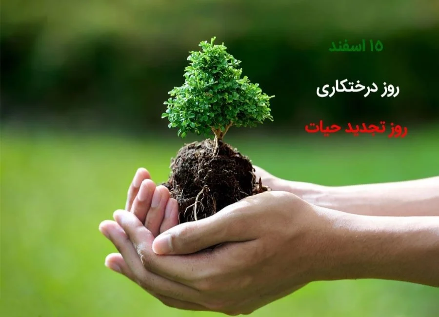 متن تبریک روز درختکاری + متن تبریک روز 15 اسفند روز درخت و درختکاری 1 12