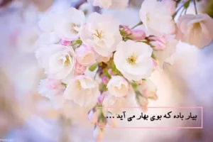 تبریک شروع فصل بهار با عکس های بهاری بسیار زیبا مخصوص پروفایل و استوری