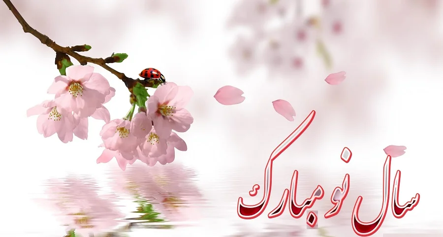 تبریک عید دوستانه و با حال + متن های بسیار خاص و باحال برای تبریک عید 1 21