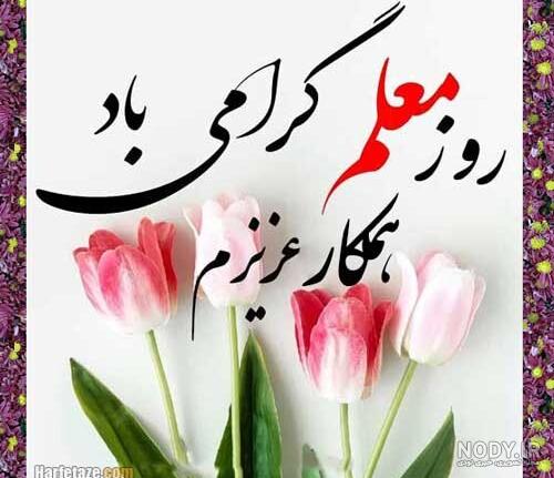 nody عکس تبریک روز معلم به همکاران 1712390710