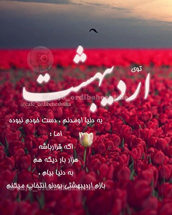 متن عاشقانه اردیبهشت ماهی { 30 جمله رمانتیک اردیبهشتی }