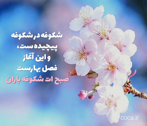صبح بخیر انگیزشی انرژی دهنده ( 30 متن انگیره دهنده صبحت بخیر ) unnamed 1 7