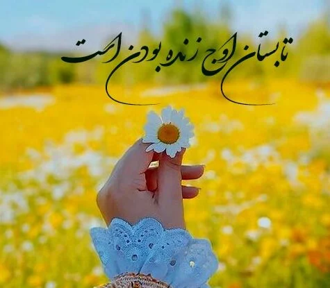 متن درباره تابستان | جملات عاشقانه تابستانی | متن درباره گرمای تابستان