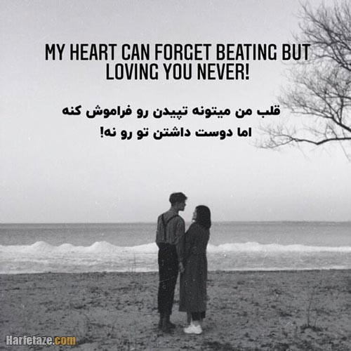 متن عاشقانه انگلیسی ❤ (جملات ترجمه شده رمانتیک برای عشق و زید) متن عاشقانه انگلیسی 9