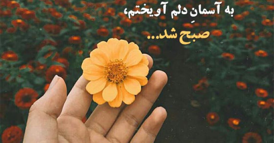 شعر صبح بخیر؛ مجموعه شعر عاشقانه، زیبا کوتاه و احساسی صبح بخیر شعر صبح بخیر؛ مجموعه شعر عاشقانه، زیبا کوتاه و احساسی صبح بخیر