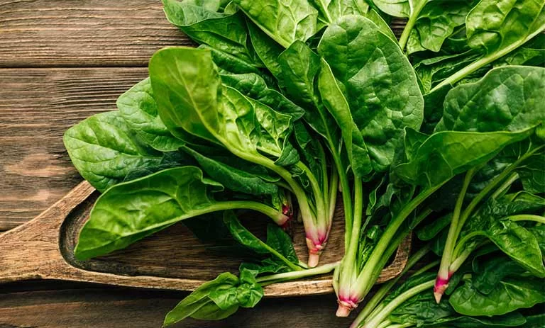 Properties of spinach for women 0