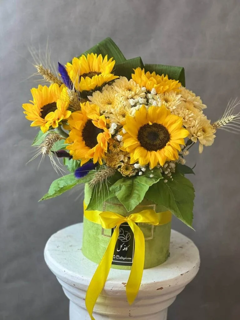 آفتاب گردان