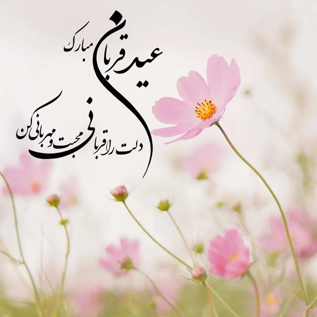 تبریک عید سعید قربان؛ 40 متن ، جملات و اشعار عید سعید قربان مبارک تبریک عید سعید قربان؛ 40 متن ، جملات و اشعار عید سعید قربان مبارک