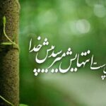 متن زیبا در مورد سبز شدن 1