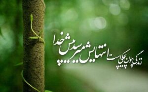 متن زیبا در مورد دوباره سبز شدن؛ جملات انگیزشی جوانه زدن