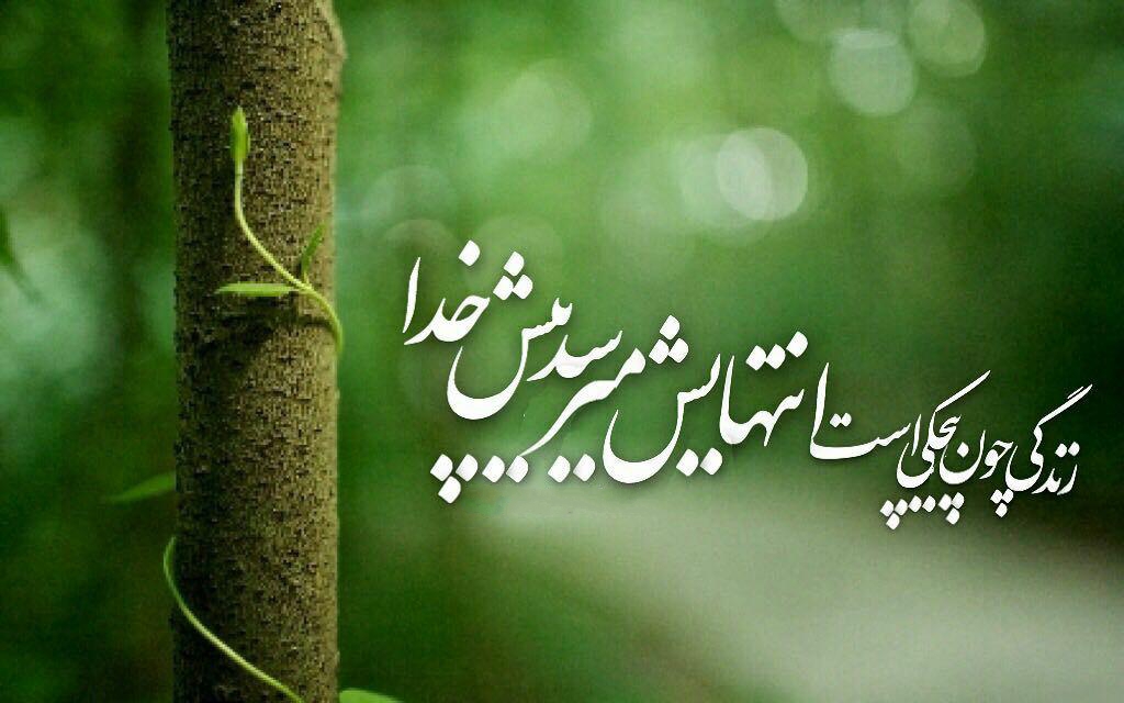 متن زیبا در مورد سبز شدن 1