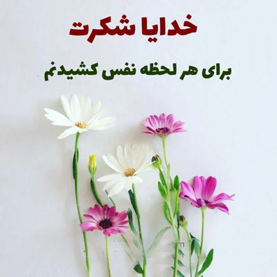 متن شکرگزاری روزانه از خدا؛ جملات سپاسگزاری از خدای بزرگ