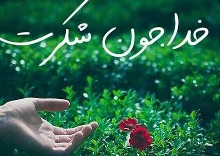 متن شکرگزاری روزانه از خدا؛ جملات سپاسگزاری از خدای بزرگ