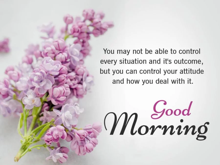 متن صبح بخیر انگلیسی؛ جملات عاشقانه جدید صبح بخیر انگلیسی با ترجمه