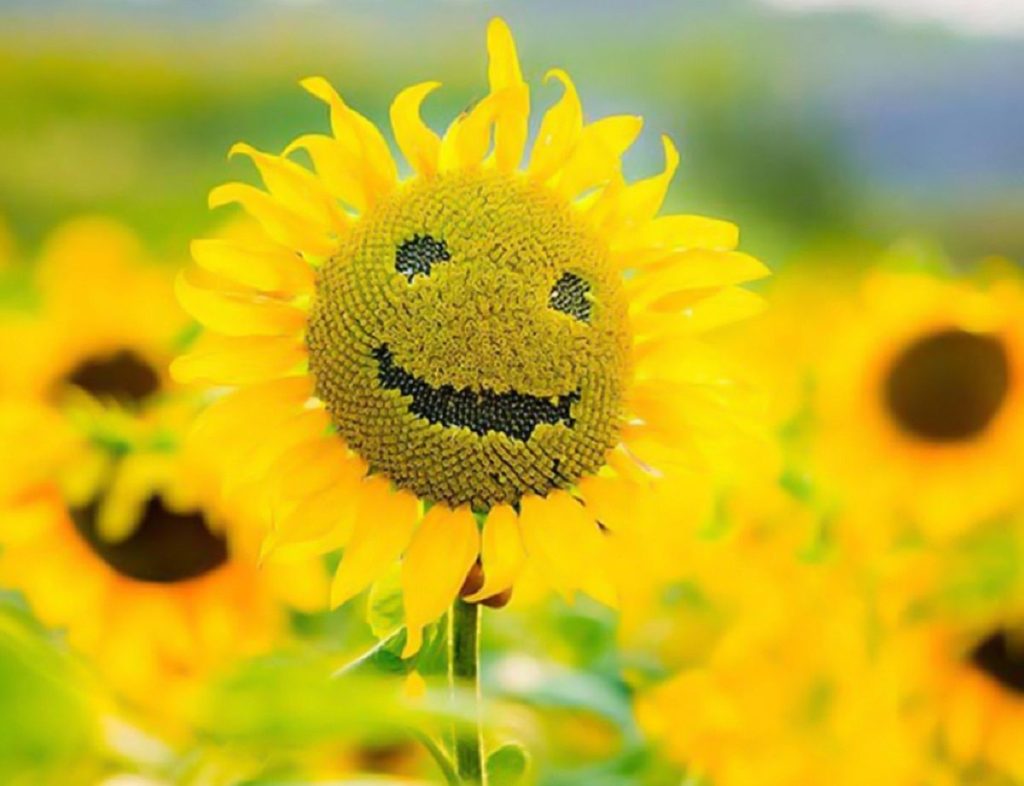 متن انرژی مثبت (جملات زیبای انرژی مثبت و حس خوب)