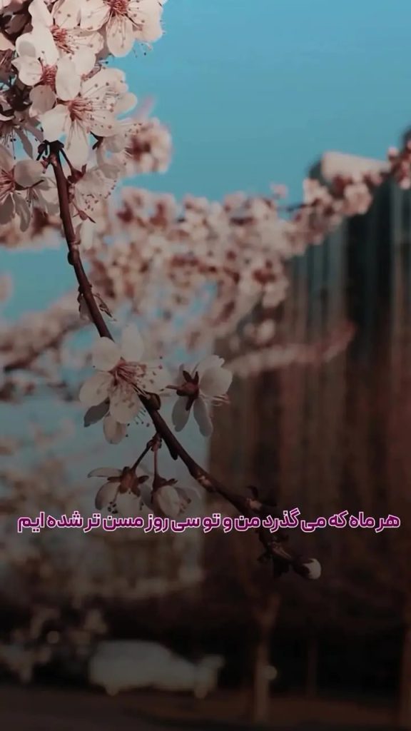 متن بهار و شکوفه | جملات، اشعار و متون زیبا درباره شکوفه های بهاری جملات زیبای شکوفه های بهاری