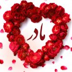 madarr 1 e1780669126263